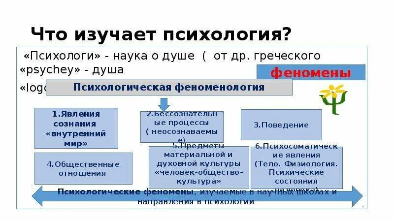 Какая наука изучает психологию. Что изучает психология. Психология это наука изучающая. Что изучает научная психология?. Что изучает психология кратко.