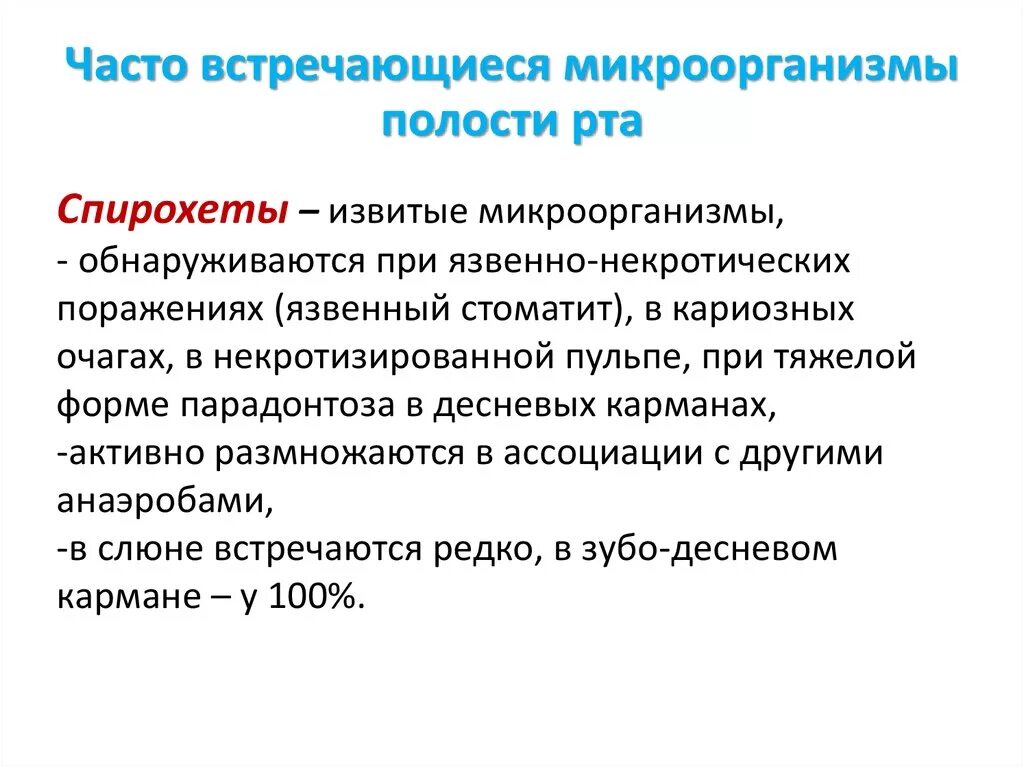 Микроорганизмы полости рта. Микрофлора ротовой полости. Микроорганизмы нормальной микрофлоры полости рта. Часто встречающиеся микроорганизмы полости рта. Условно патогенные микроорганизмы полости рта.