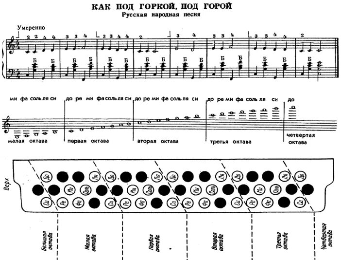 Ноты на баяне для начинающих расположение. Аккордеон 2 октавы схема. Расположение нот на аккордеоне 3/4. Басы аккордеона схема нот. Аккорды на баяне правая