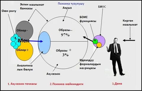 Система психики человека