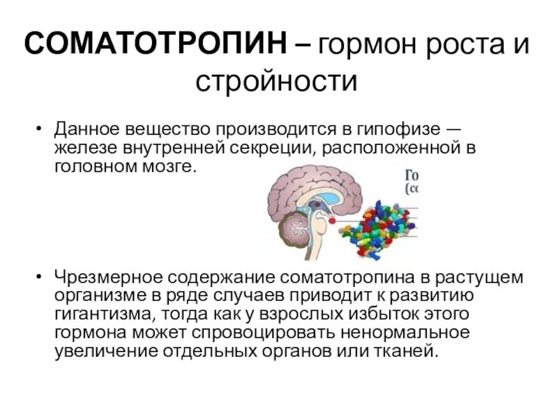 Гормон роста белок. Соматотропин функции гормона. Соматотропин гормон роста. Гипофиз соматотропин. Выработка гормона роста.