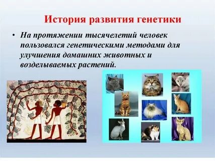 Происхождение генетики