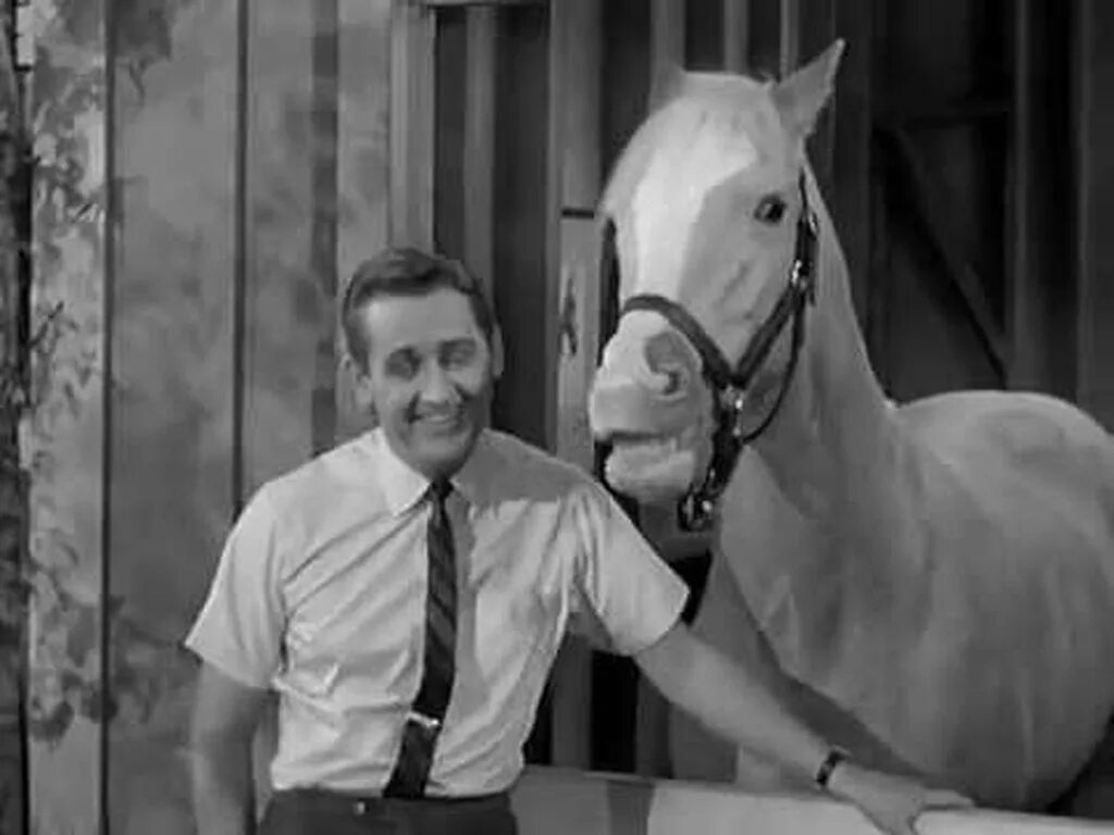 Мистер эд лошадь есть лошадь. Мистер эд лошадь. Mr horse. Персонажи из мультфильма лошади. Мистер конь рен и стимпи.