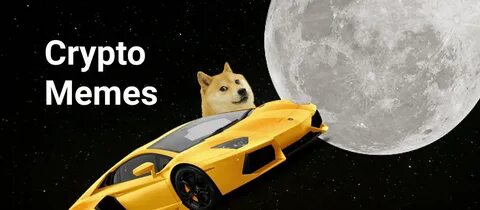 Lambo for hamster ceo что дает