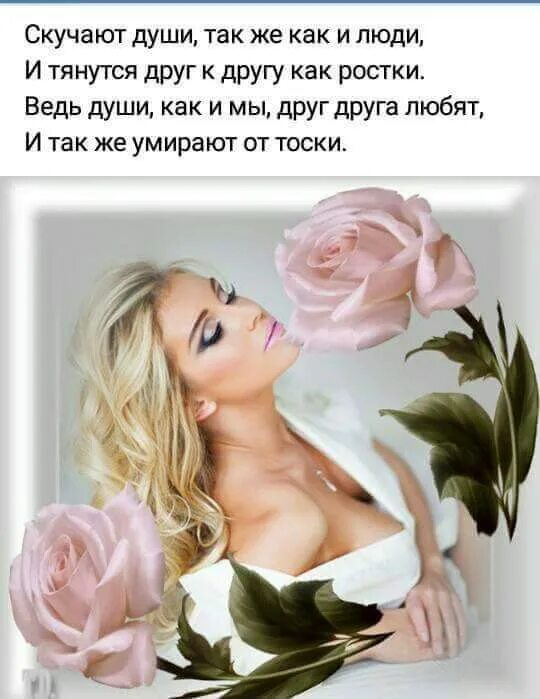 оказывается в жизни так бывает когда душа тоскует. душа скучала по душе такой родной настолько. скучают души также как и люди. стихотворение душа скучала по душе. душа скучала по душе великолепное стихотворение.