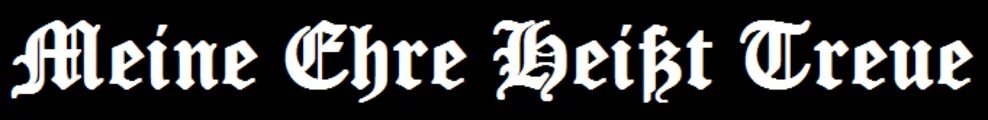 Моя честь зовется верность на немецком. Моя честь зовется верность. Моя честь это верность. Meine Ehre heißt Treue надпись.