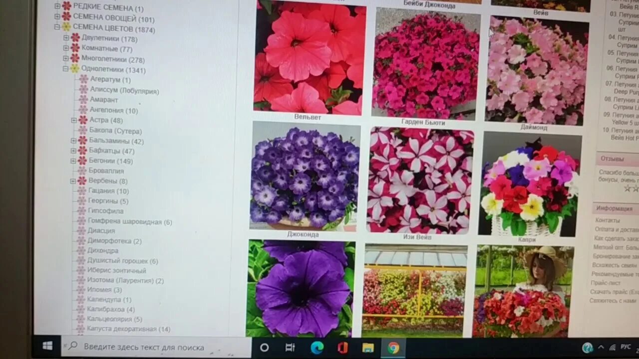 Соло цветы интернет