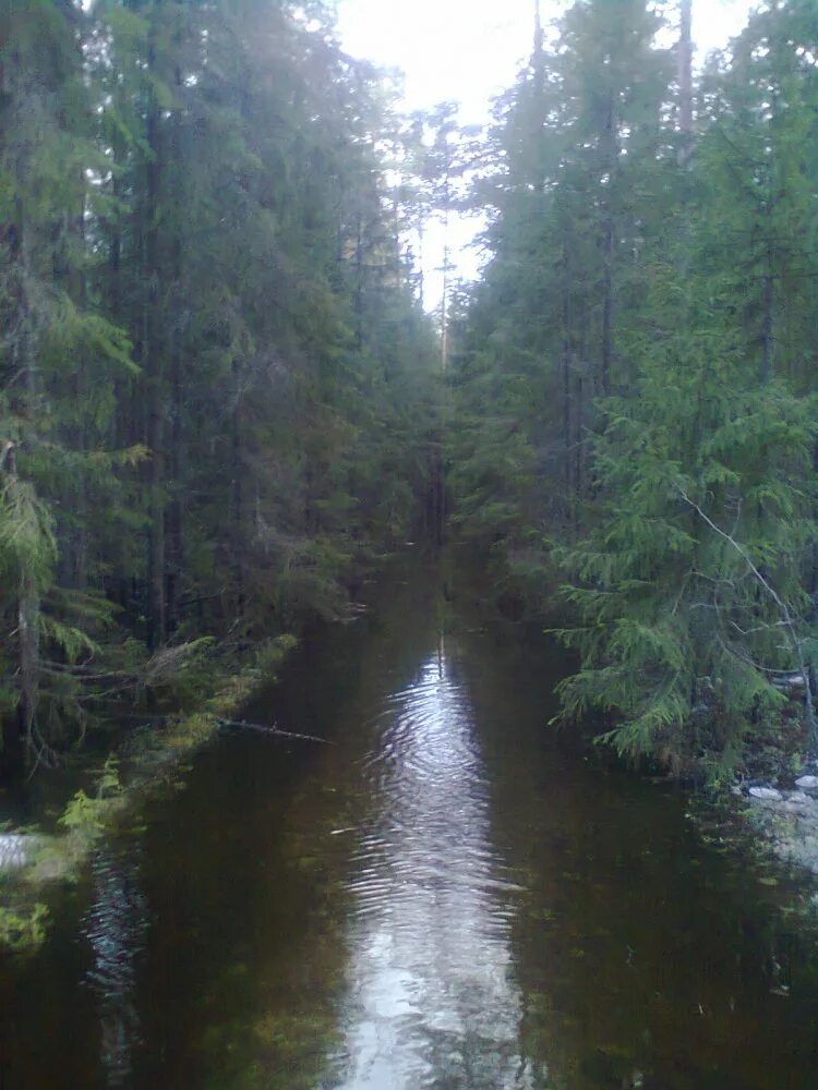 деревня воробьёвица костромская область. воробьевица костромская область. воробьевица костромская область. деревня воробьёвица костромская область. воробьевица костромская область.