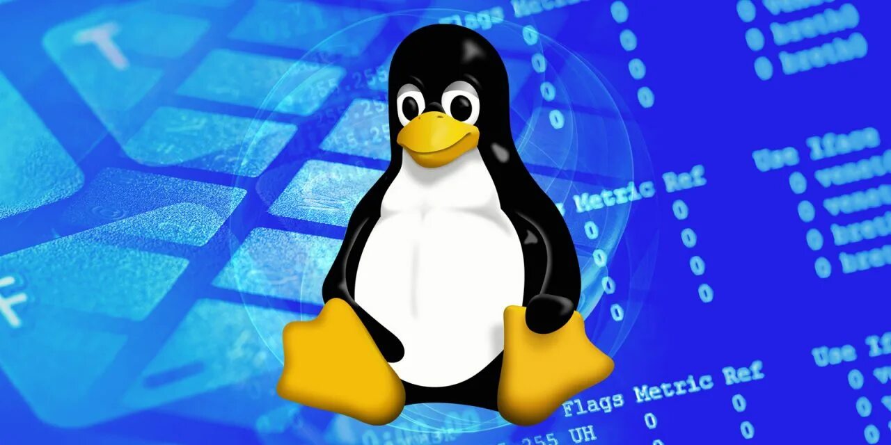Курсы линукс. Курсы Linux. Linux mobile.