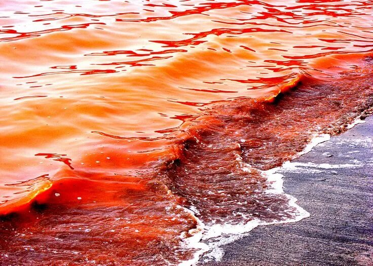 this isn't happiness. Lake, Red lake, Photo work