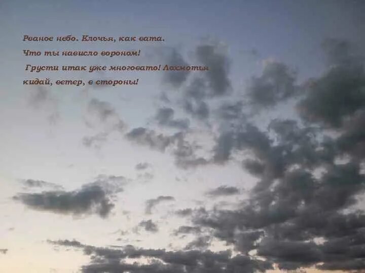 Небо правду знает небо верных принимает. Цитаты про небо. Ты на небесах. Фразы про небо. Высказывания про небо.