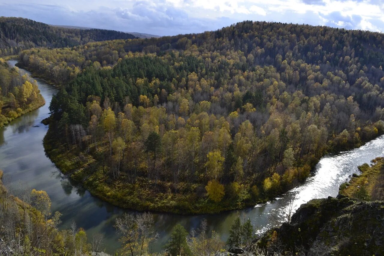 восточно сибирская тайга. алатау тайга хакасия. междуреченск кемеровская область. природа междуреченска кемеровская область. кузбасс кемеровская область город междуреченск.