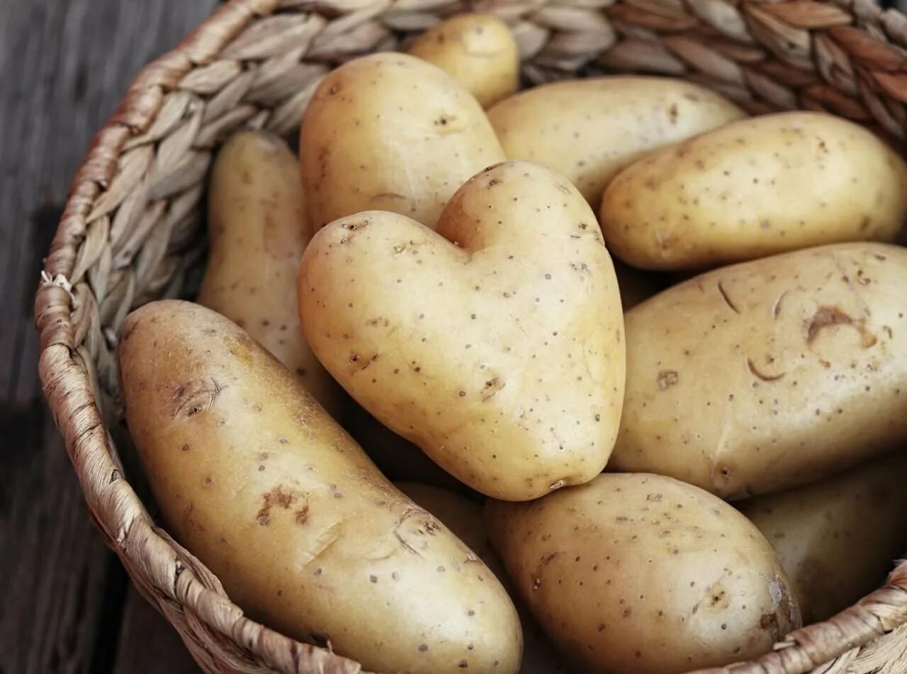 Potatoes picture. Картофель. Красивая картошка. Картофель красивый. Картофель Эстетика.