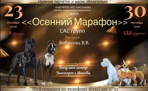 Пригласить собаку