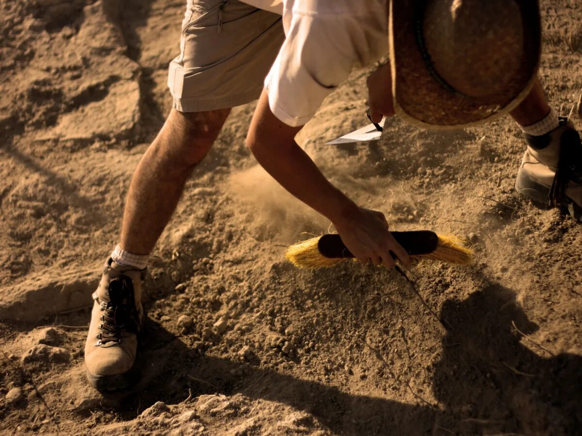 Digging up