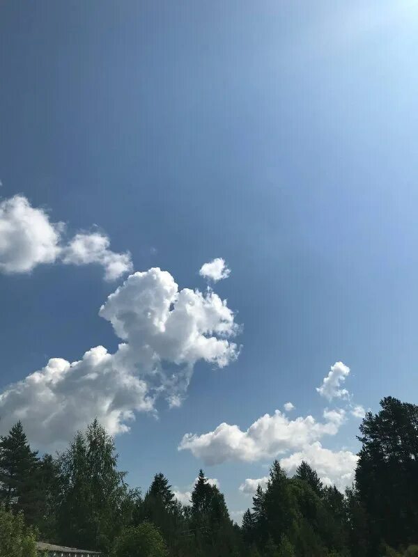 Разорванные облака. Слоисто дождевые облака. Разрыв облаков. Разорванные тучи. Рваные облака.