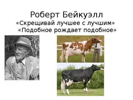 Подобное вызывает подобное