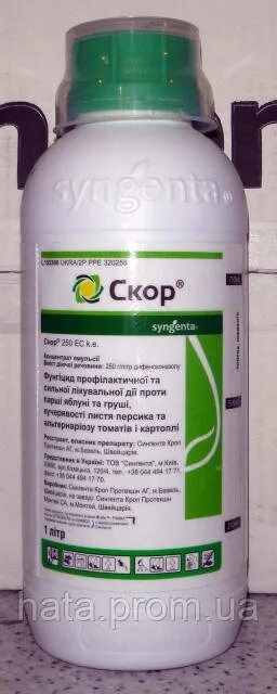 Строби форум