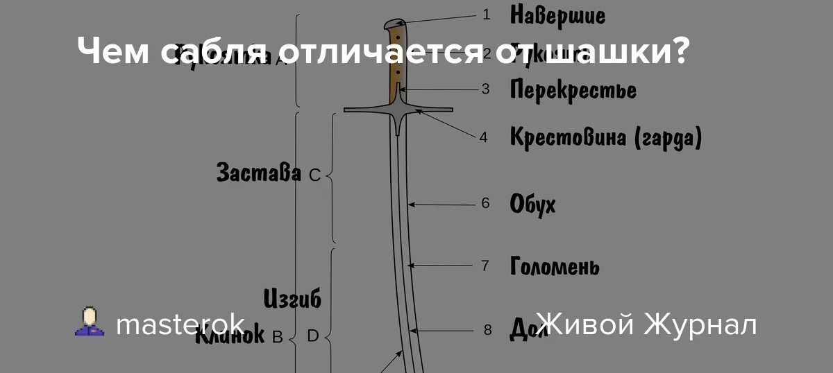 Сабля и шашка отличия. Сабля шашка разница. Меч сабля шпага шашка отличия. Шашка сабля палаш отличие.