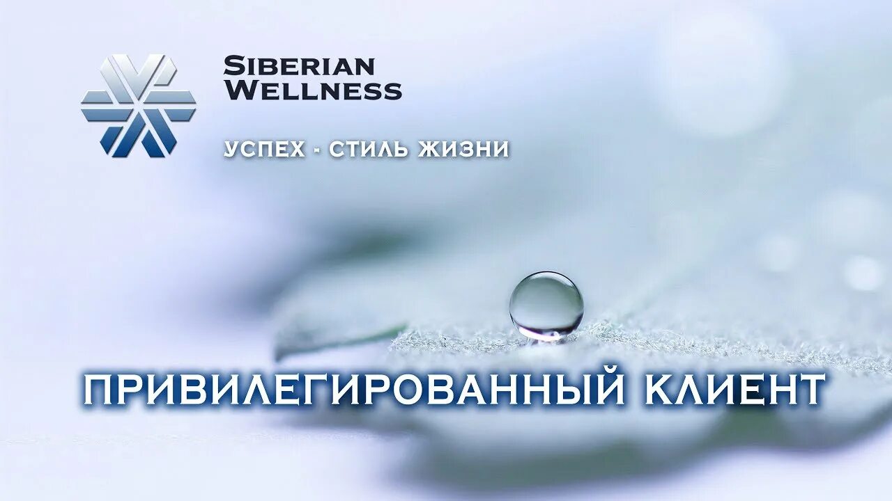 Privileged client. Siberian Wellness бизнес. Сибириан велнес логотип. Привилегированный клиент Siberian Wellness. Сибирское здоровье логотип.