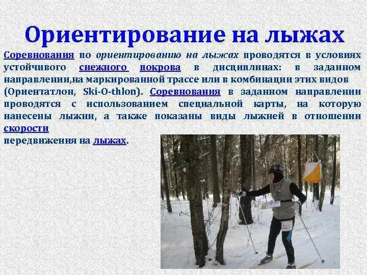 5 вопросов по ориентированию
