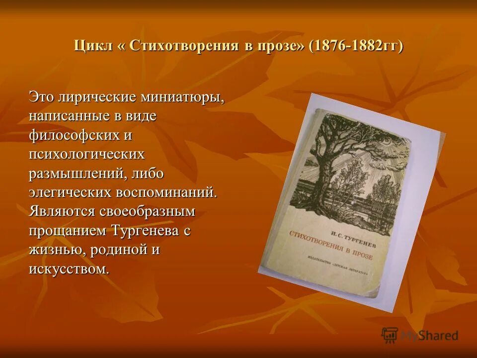 стихотворения в прозе тургенева дурак