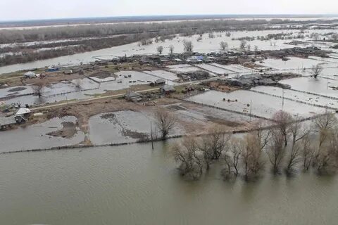 Вода в оби сейчас