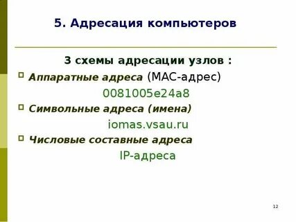 Числовой адрес