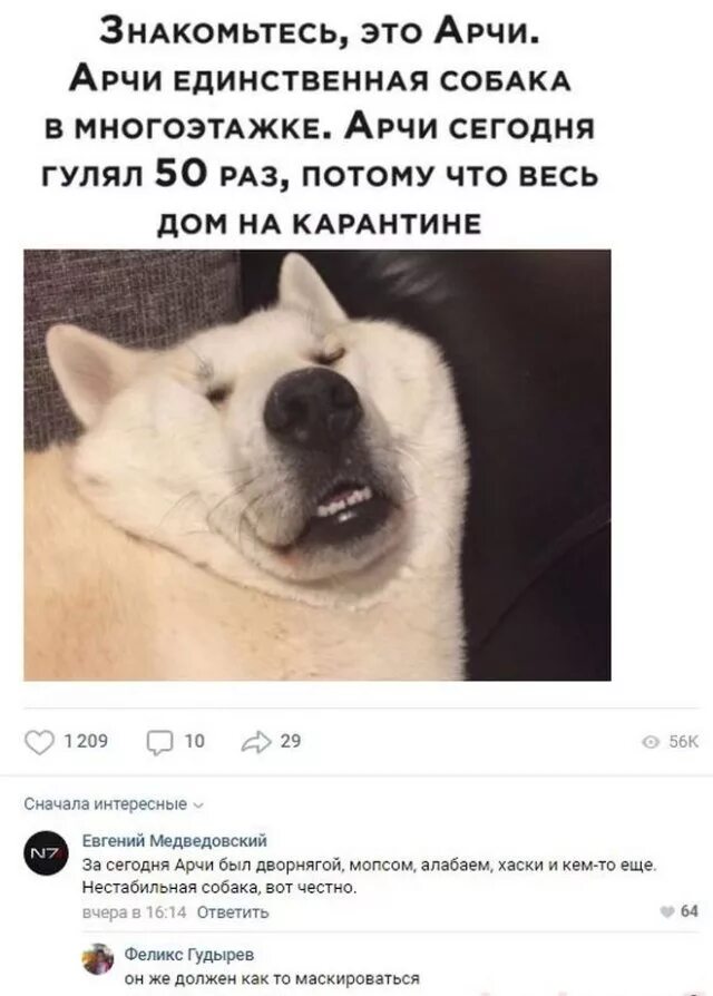 Забавные посты. Прикольные посты смешные. Смешные посты. Смешные картинки про пост. Прикольные посты.