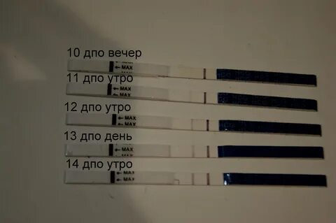 Тянет живот 2 дня задержка форум