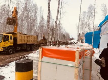 Тулун березовая роща