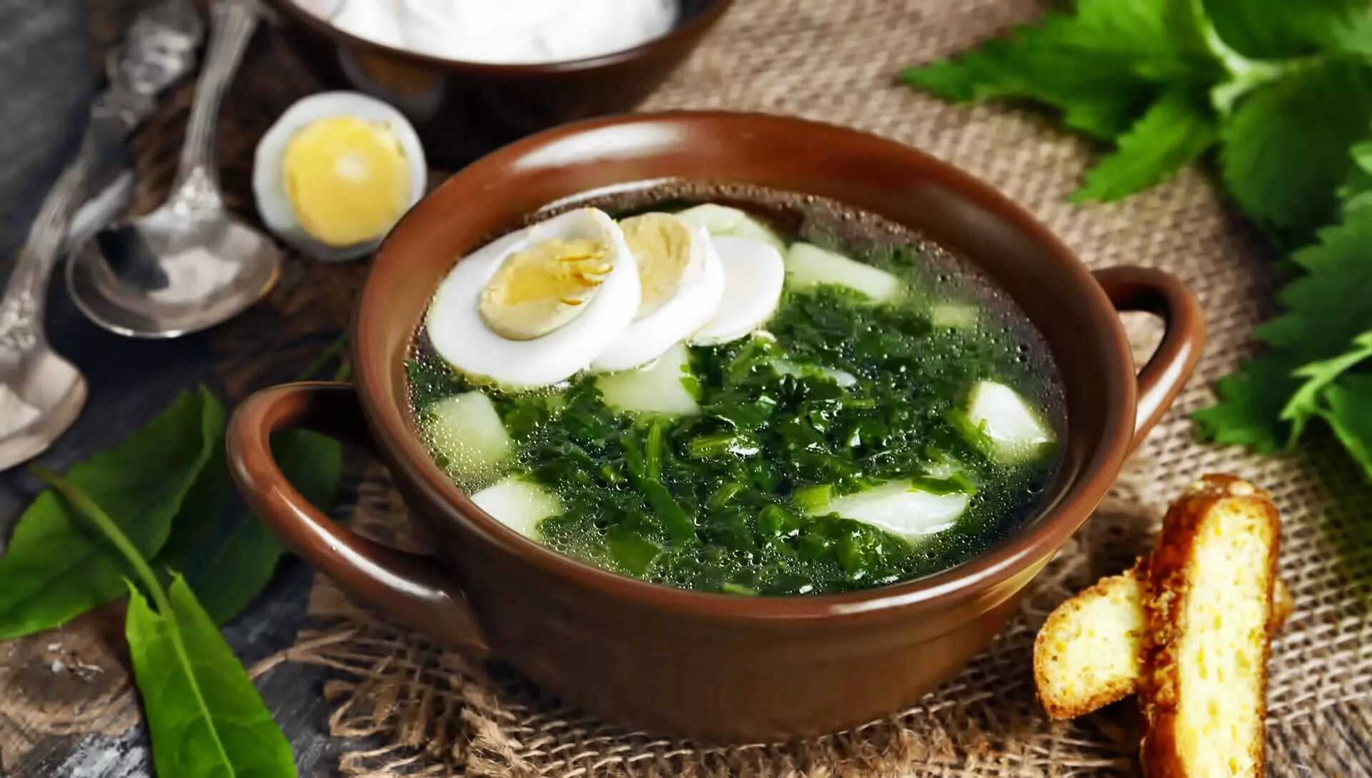 Суп из щавеля с яйцом. Классический суп со щавелем. Зелёный борщ с щавелем и яйцом. Классический суп со щавелем. Классический суп со щавелем.