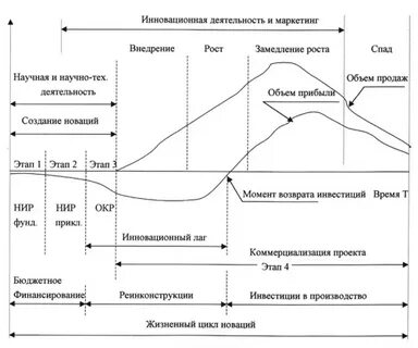 Экономика выступает как наука в процессе внедрения