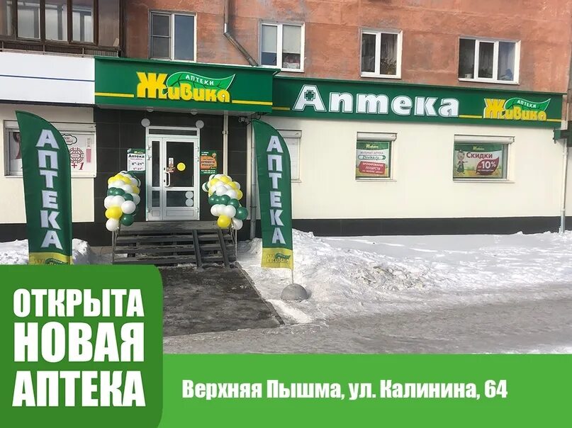 Каталоги магазинов верхней пышмы. Калинина 64 верхняя Пышма Живика. Аптека Живика верхняя Пышма. Аптека Живика верхняя Пышма Кривоусова 20. Ул Калинина 64а верхняя Пышма.