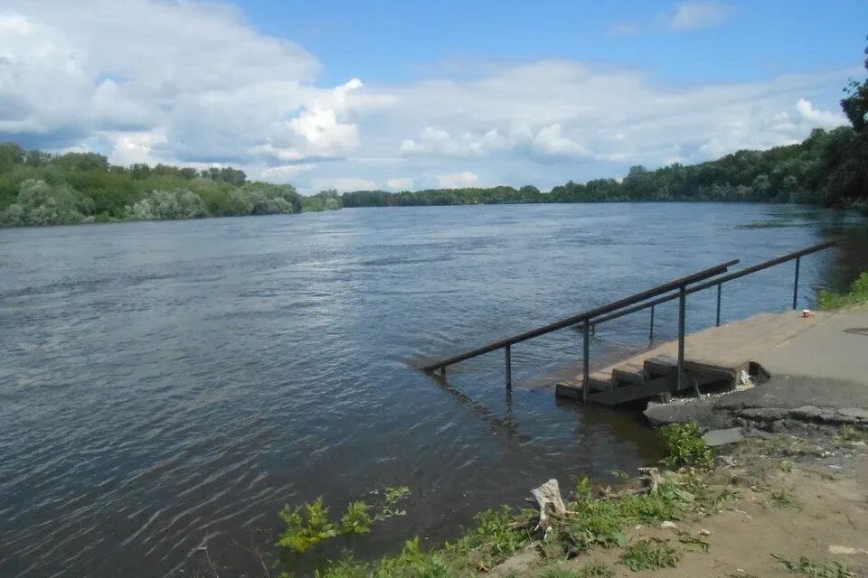 Вода на оке сегодня сколько поднялась. Левый берег реки Оки 27. Левый берег реки Оки 29. Левый берег реки Оки 113. Уровень воды в Оке Коломна.