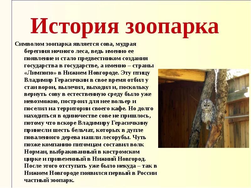 Рассказ про зоопарк 2 класс. Животные зоосада описание. Рассказ про зоопарк 2 класс. Рассказ про зоопарк 2 класс. Сообщение о зоопарке.