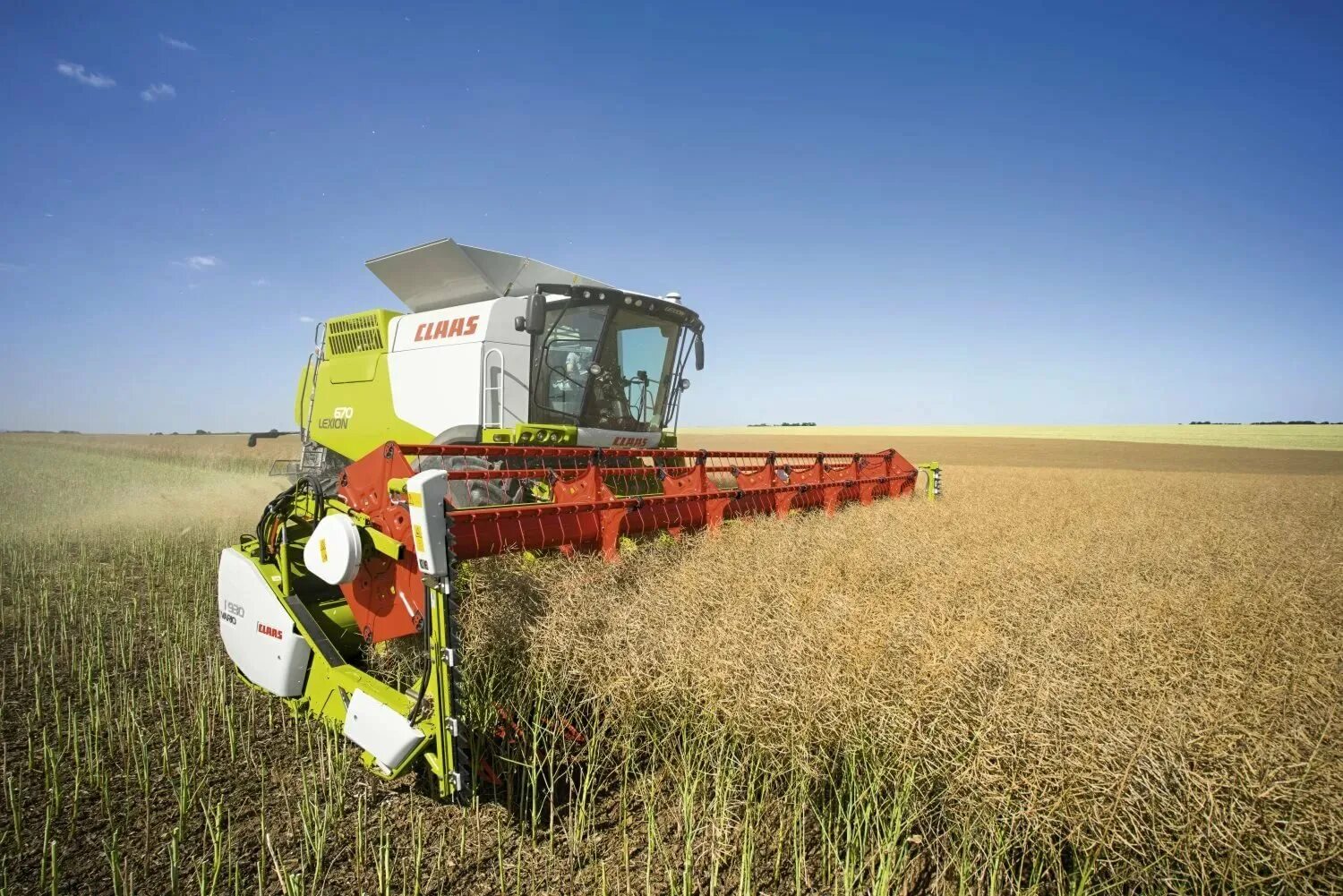 Комбайн CLAAS Lexion 670. Комбайн Клаас Лексион 670 уборка рапса. Lexion 670-650. Комбайн Lexion 650. Сена комбайн