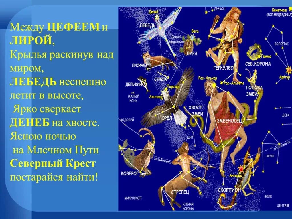 Учитель созвездий 59. Созвездие Цефея. Созвездие презентация 5 класс. Созвездия Лиры лебедя и орла.