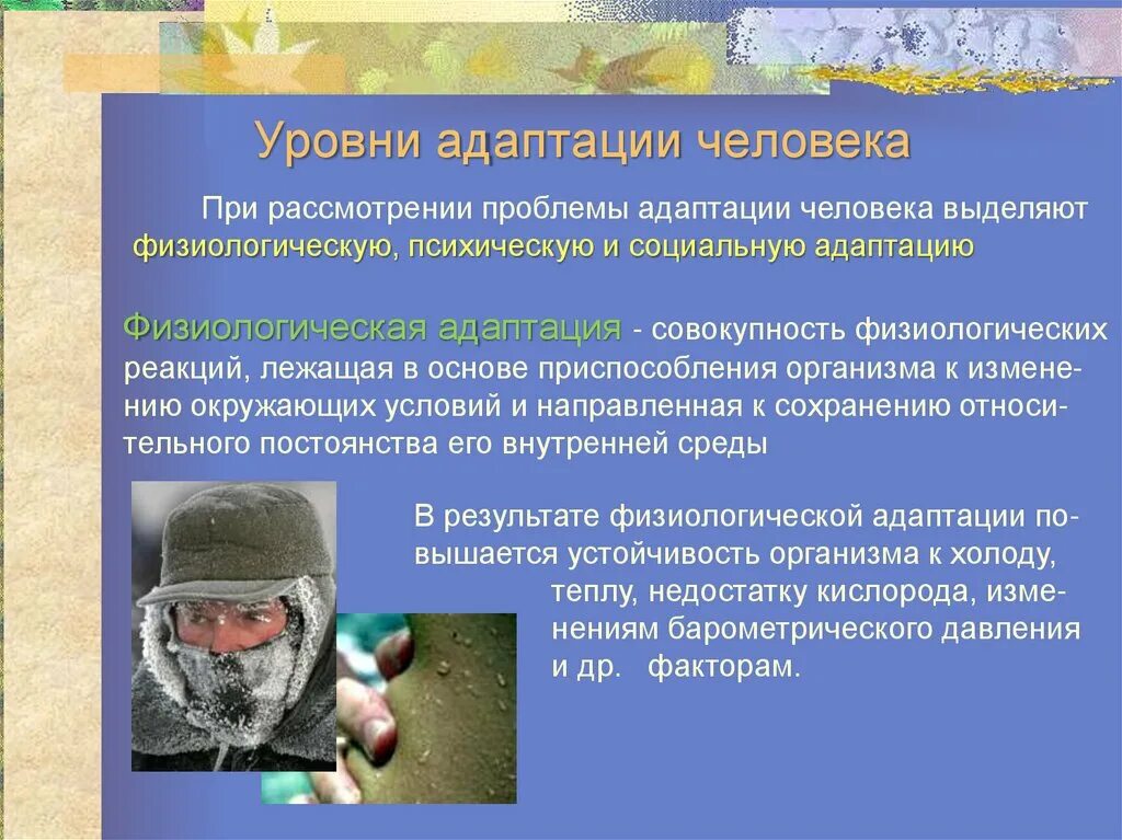Среда жизни человека и адаптации человека. Примеры адаптации человека. уровни адаптации человека. адаптация человека к условиям среды. адаптация человека к окружающей среде.