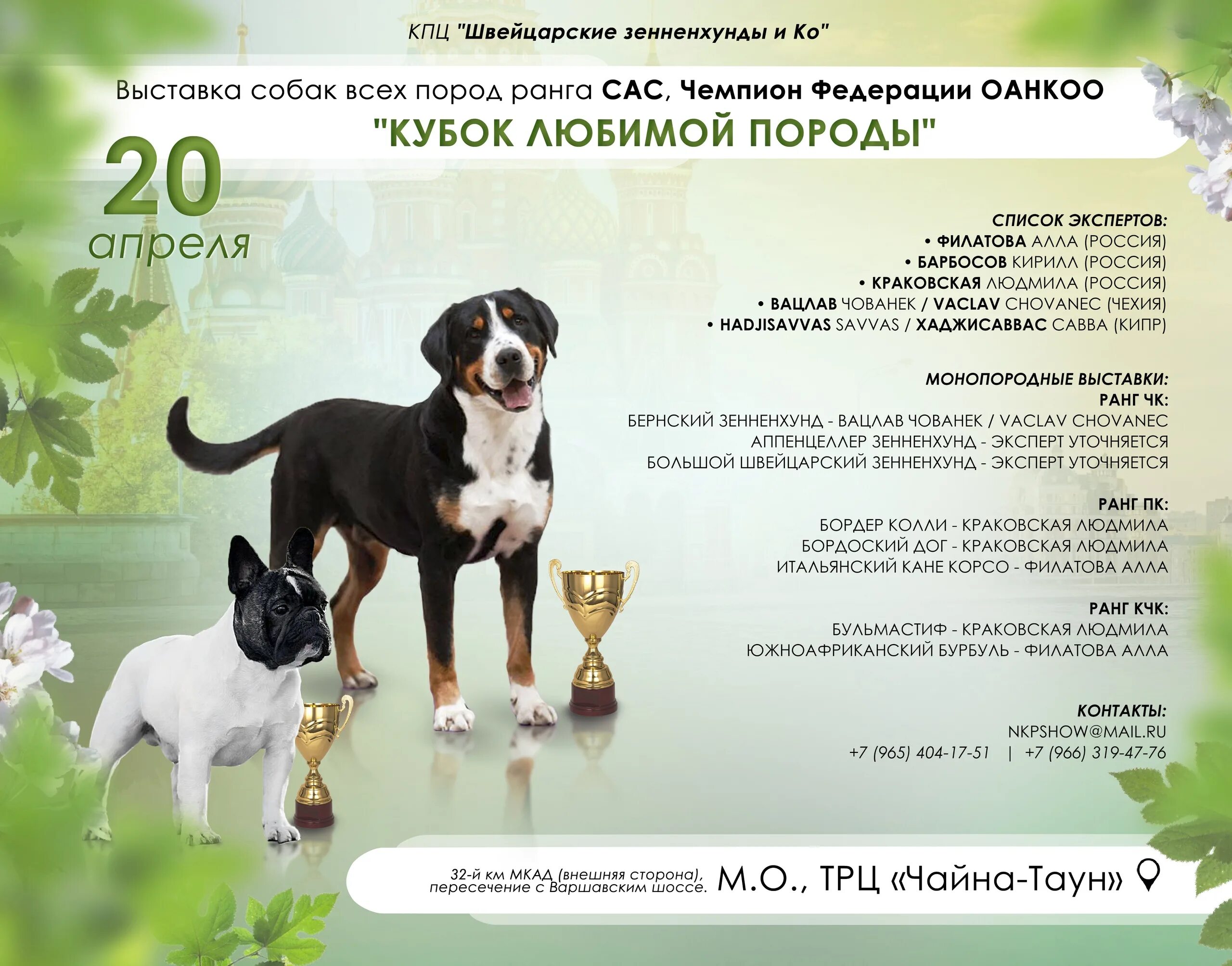 Выставка собак график. Выставка собак реклама. выставка собак баннер. презентация выставки собак. анонс выставки собак.
