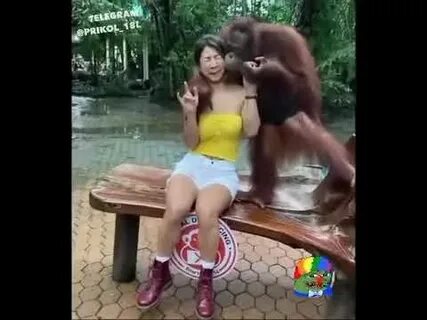Девушка с обезьяной видео