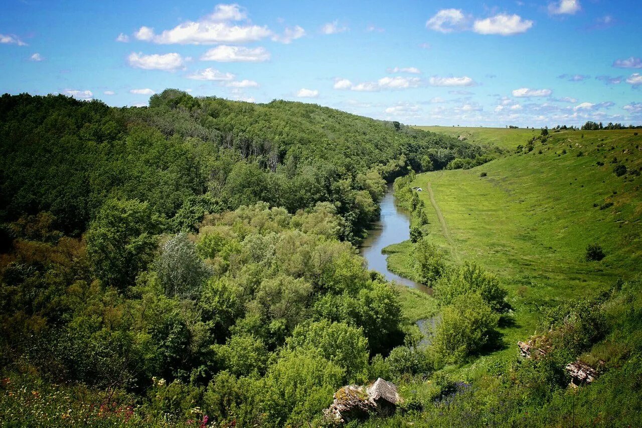 р липецкие. река воронеж в липецке. река красивая меча липецкая область. галичья гора задонск. природа липецкого района.