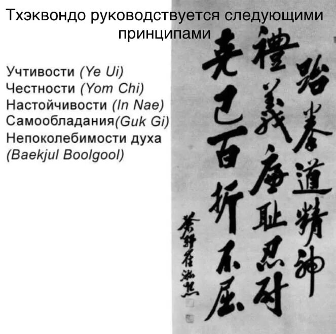 Положение тхэквондо. 5 принципов тхэквондо итф. принципы тхэквондо. принципы тхэквондо итф. основные принципы тхэквондо.