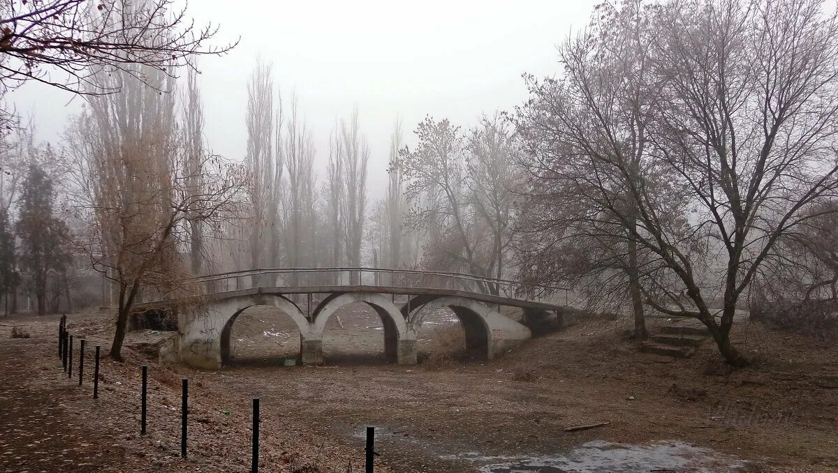 Парк в городе шахты ростовской области. Город шахты александровский парк. Александровский парк шахты. Александровский парк шахты. Александровский парк шахты ростовская область.