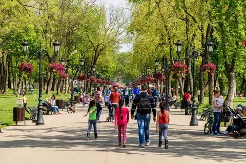 Картинка люди в парке