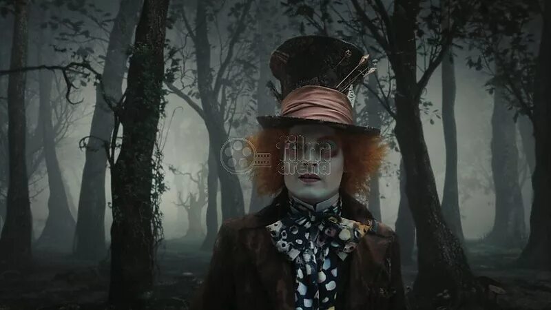 Джонни депп алиса в стране чудес фото Alice in Wonderland (2010) Disney Movies