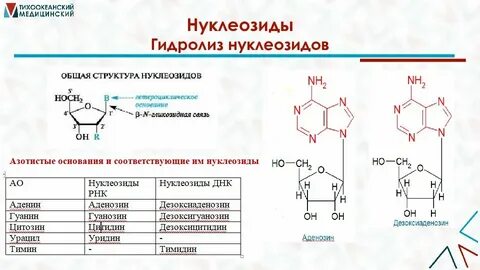 Строение гидролиз