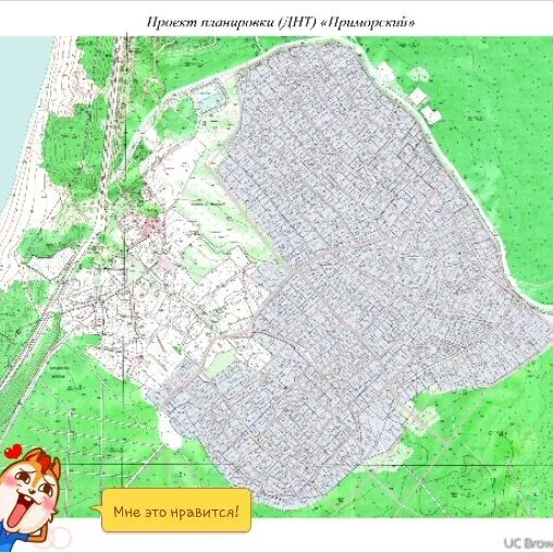 ДНТ молодежное Сосновый Бор на карте. Днт приморский