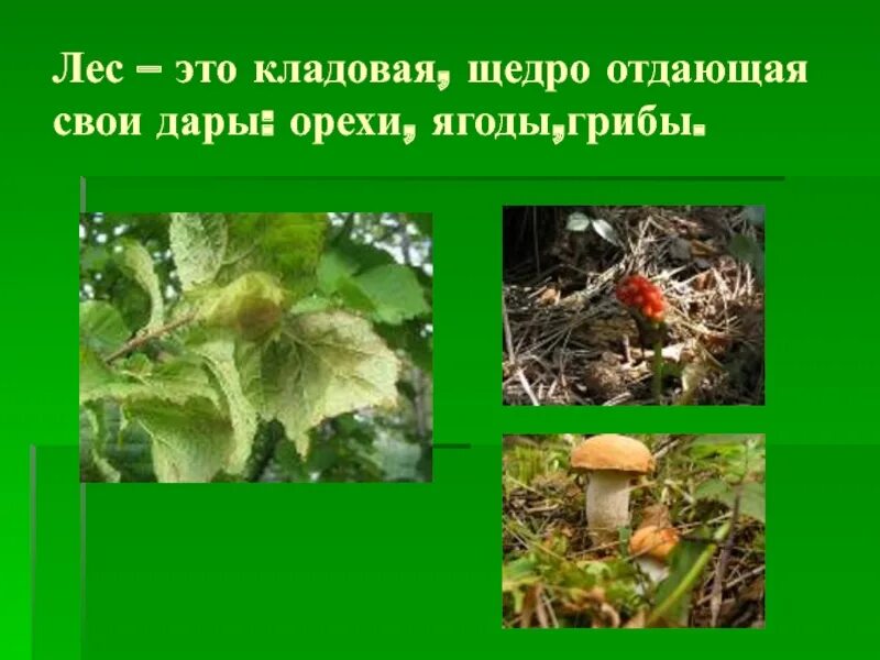 Щедро отдала