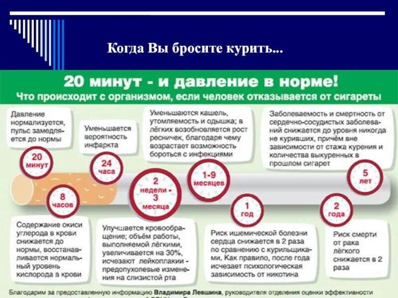 Бросил курить что происходит. Что происходит если бросить курить. Что происходит когда бросаешь курить. После отказа от курения. Что происходит когда бросаешь курить.